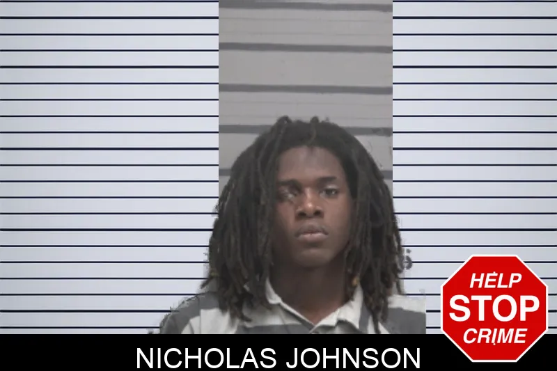 Nicholas Johnson mugshot