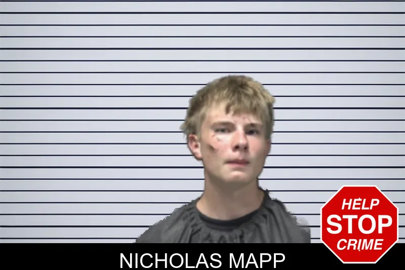 Nicholas Mapp mugshot – Forsyth County , Georgia Nicholas Mapp mugshot
