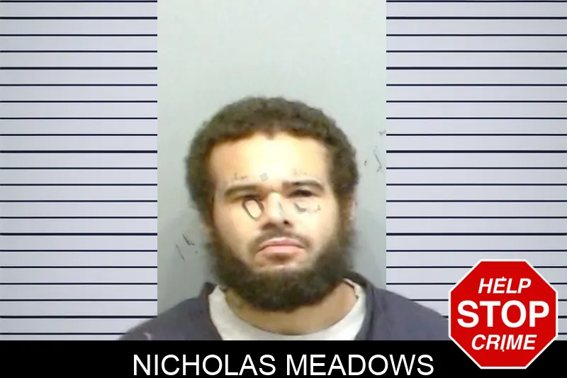Nicholas Meadows mugshot