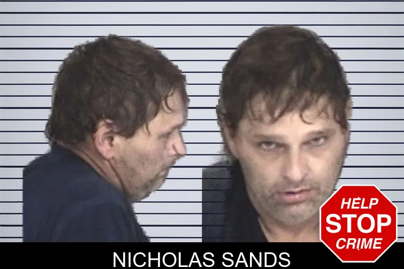 Nicholas Sands mugshot