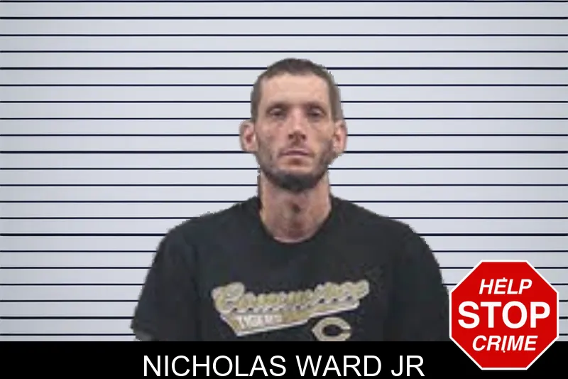Nicholas Ward Jr mugshot