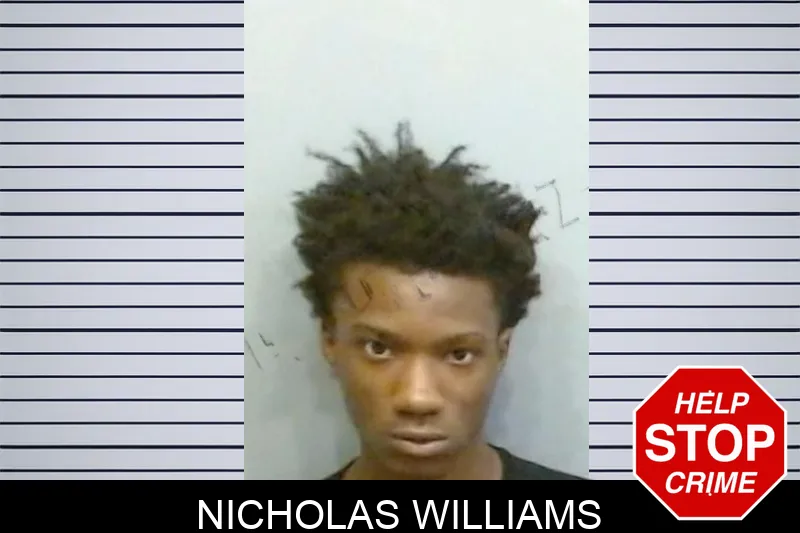 Nicholas Williams mugshot