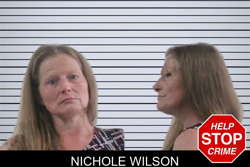Nichole Wilson mugshot – Houston County , Georgia Nichole Wilson mugshot