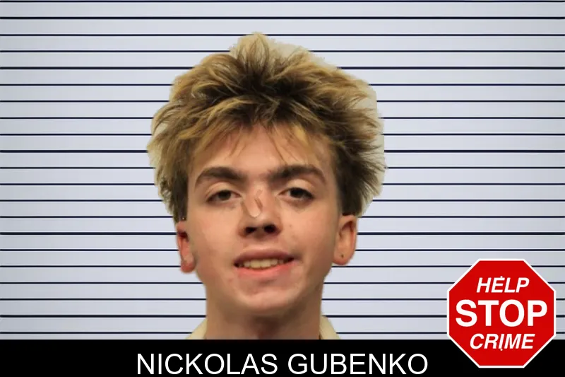 Nickolas Gubenko mugshot