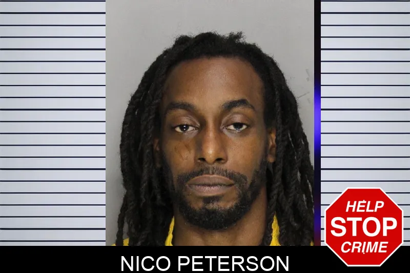 Nico Peterson mugshot