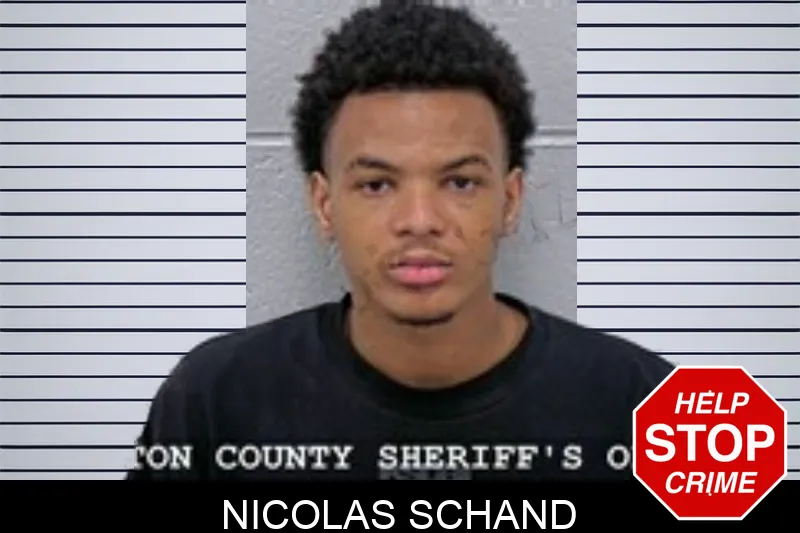 Nicolas Schand mugshot