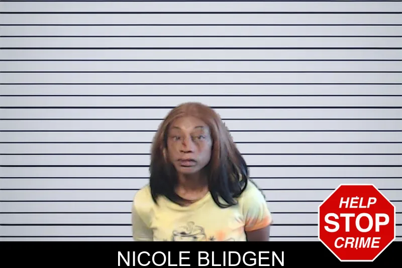 Nicole Blidgen mugshot – DeKalb County , Georgia Nicole Blidgen mugshot