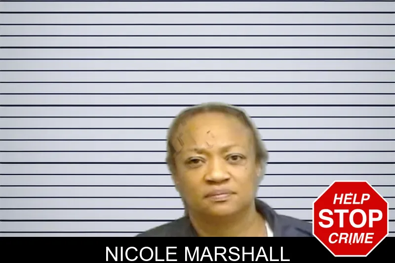 Nicole Marshall mugshot – Fulton County , Georgia Nicole Marshall mugshot