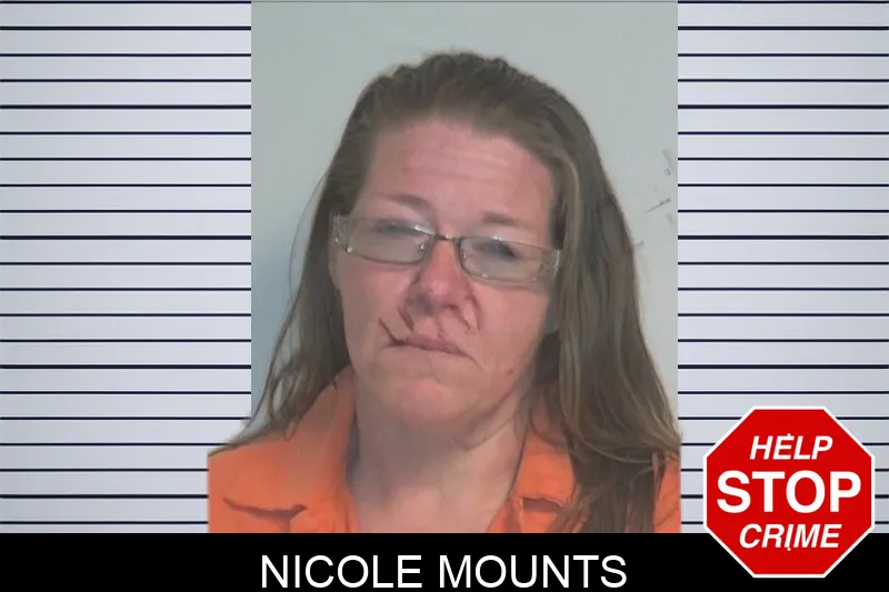 Nicole Mounts mugshot