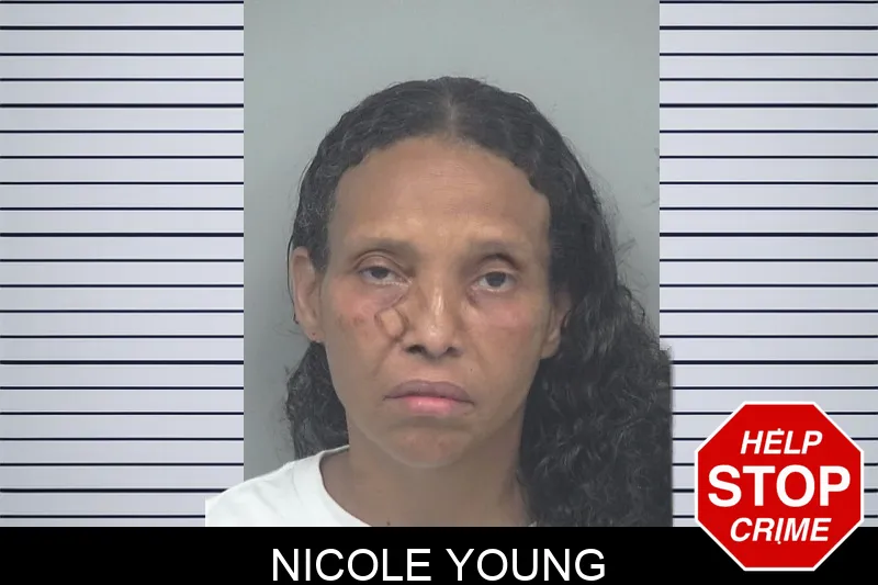 Nicole Young mugshot