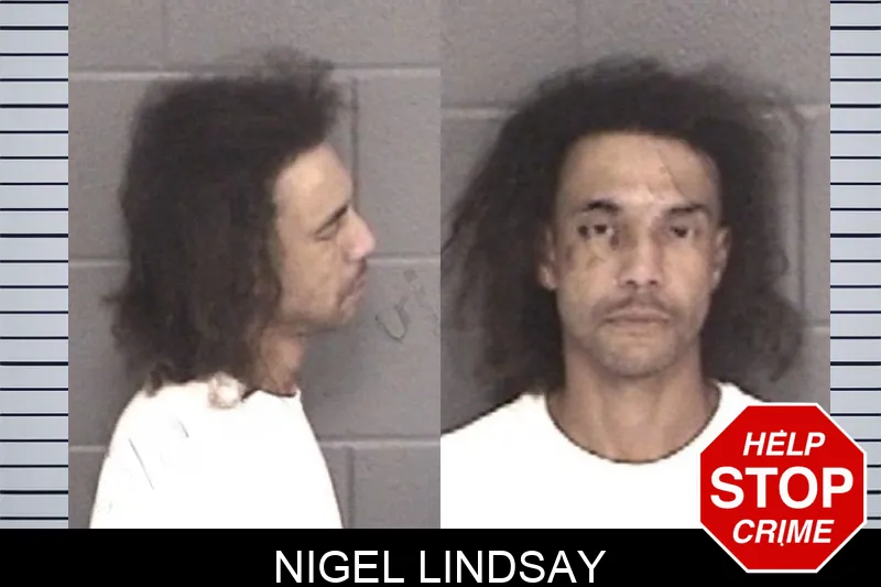 Nigel Lindsay mugshot