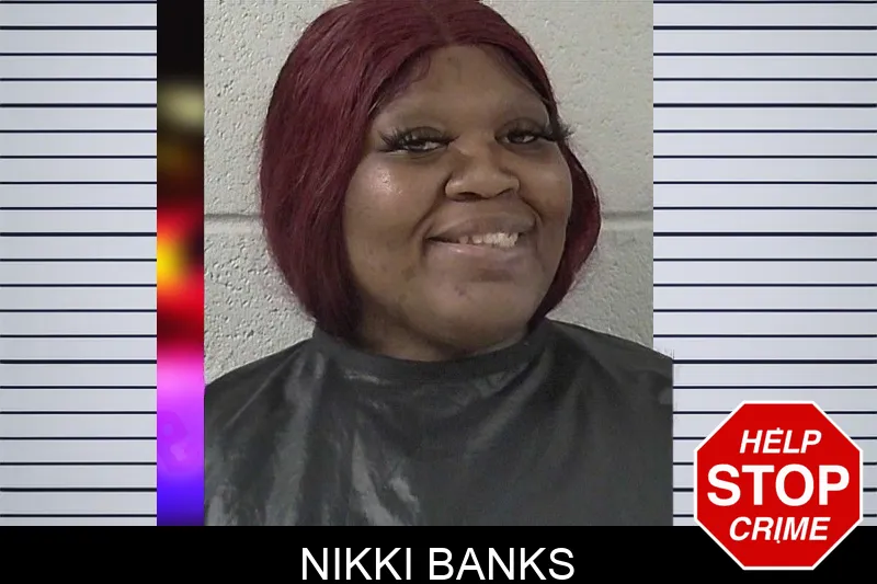 Nikki Banks mugshot