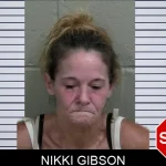 Nikki Gibson mugshot