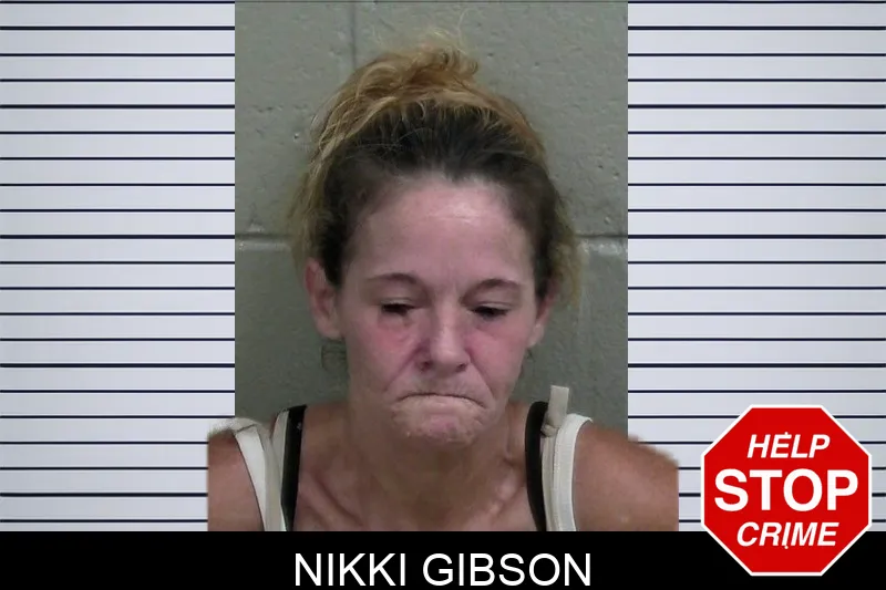 Nikki Gibson mugshot