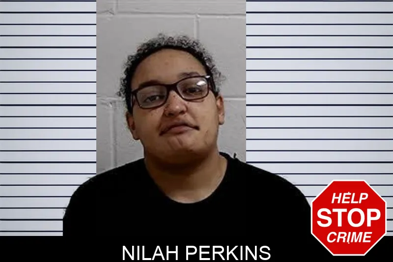 Nilah Perkins mugshot