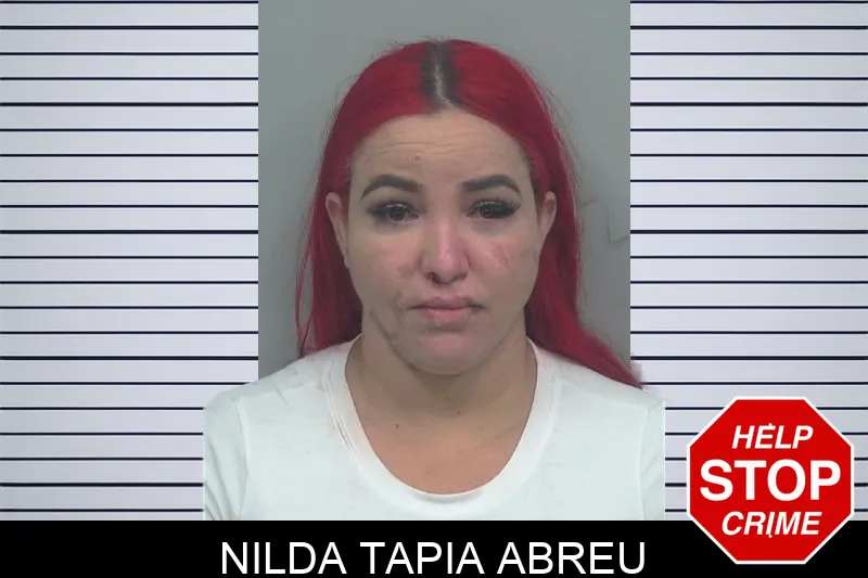 Nilda Tapia Abreu mugshot – Gwinnett County , Georgia Nilda Tapia Abreu mugshot