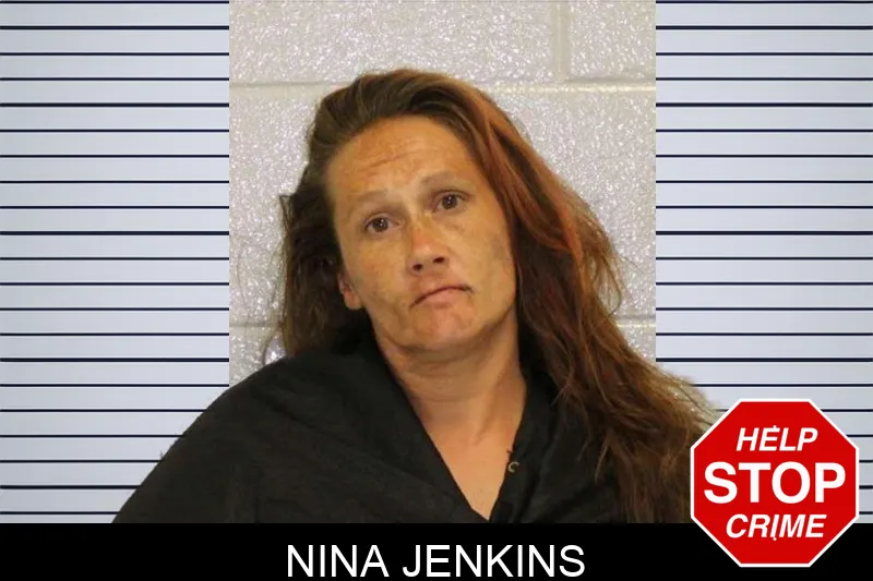 Nina Jenkins mugshot
