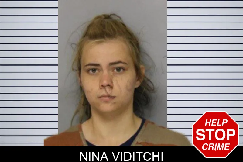 Nina Viditchi mugshot