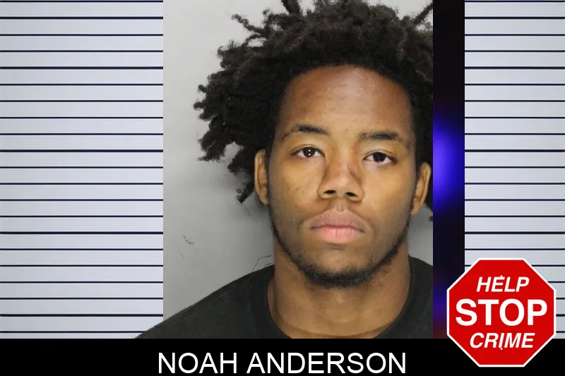 Noah Anderson mugshot