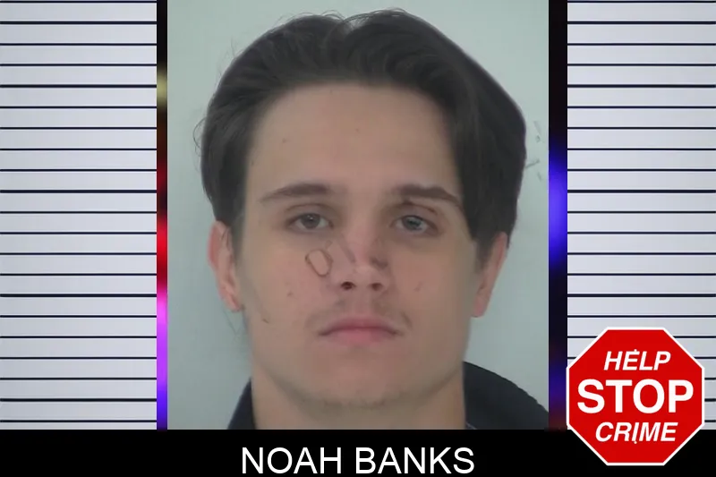 Noah Banks mugshot