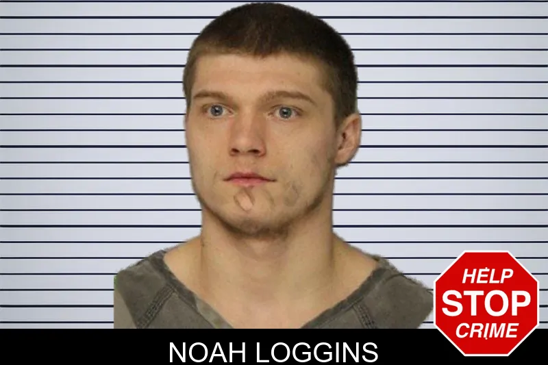 Noah Loggins mugshot – Hall County , Georgia Noah Loggins mugshot
