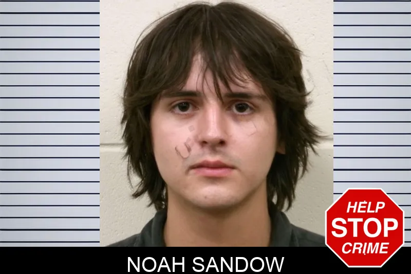 Noah Sandow mugshot – Bulloch County , Georgia Noah Sandow mugshot