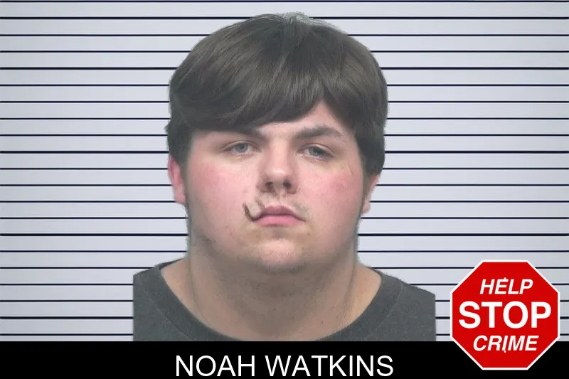 Noah Watkins mugshot