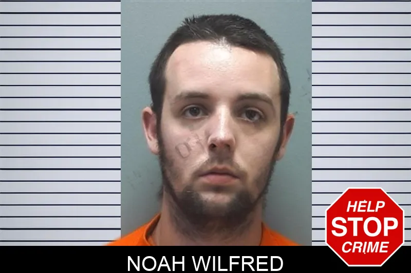 Noah Wilfred mugshot
