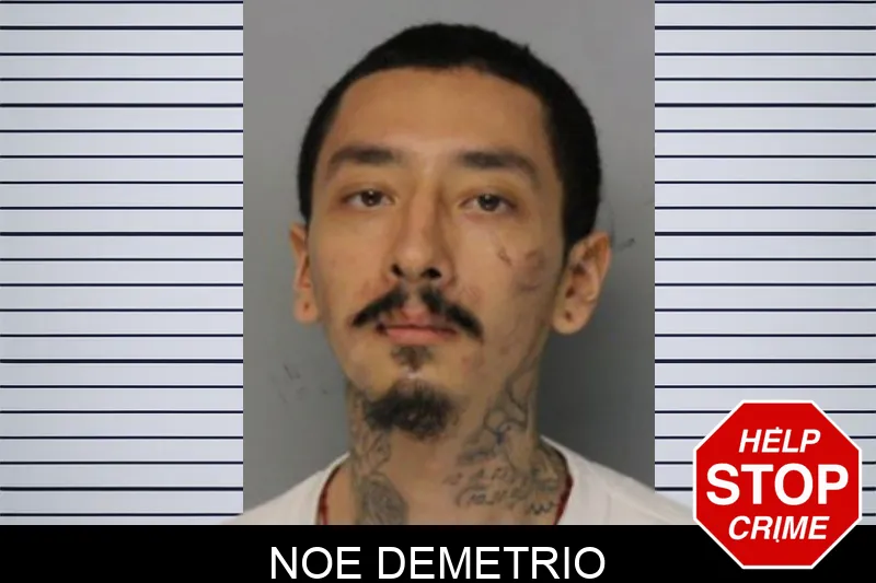 Noe Demetrio mugshot