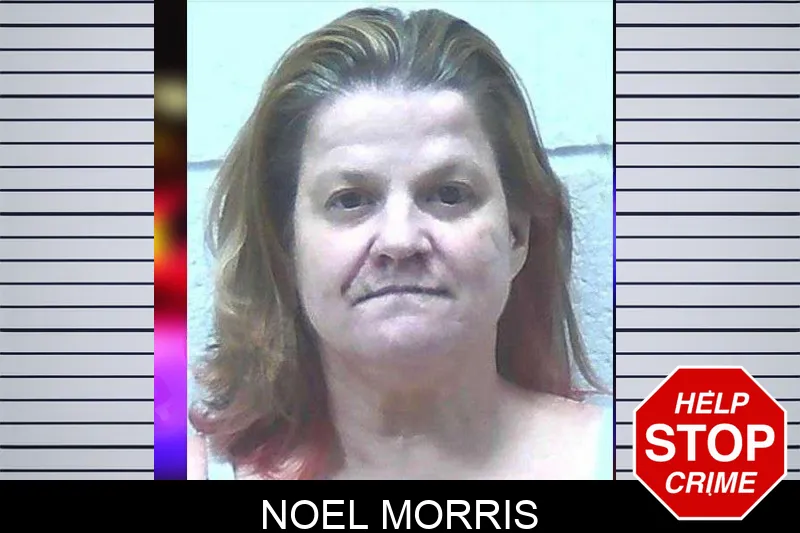 Noel Morris mugshot – Jackson County , Georgia Noel Morris mugshot