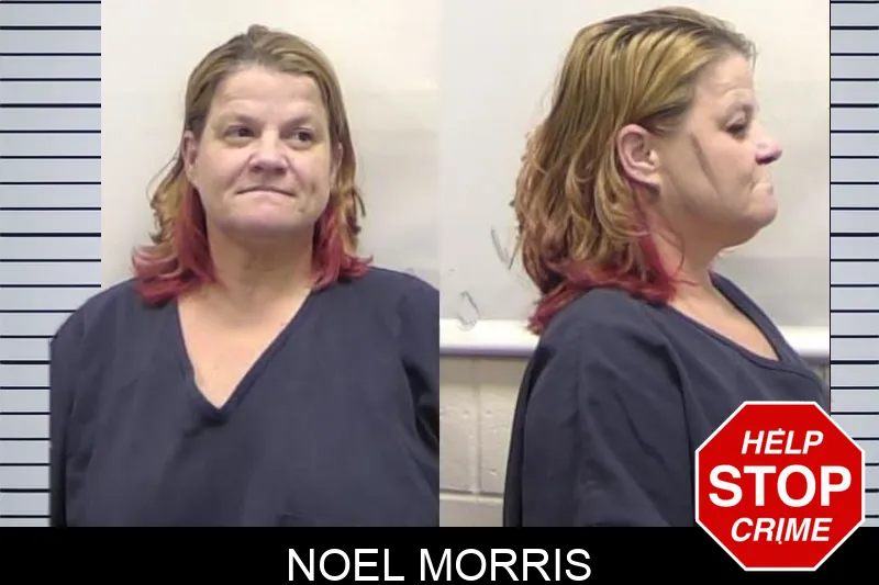 Noel Morris mugshot – Clarke County , Georgia Noel Morris mugshot