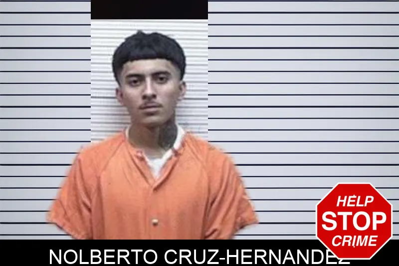 Nolberto Cruz-Hernandez mugshot – Tattnall County , Georgia Nolberto Cruz-Hernandez mugshot