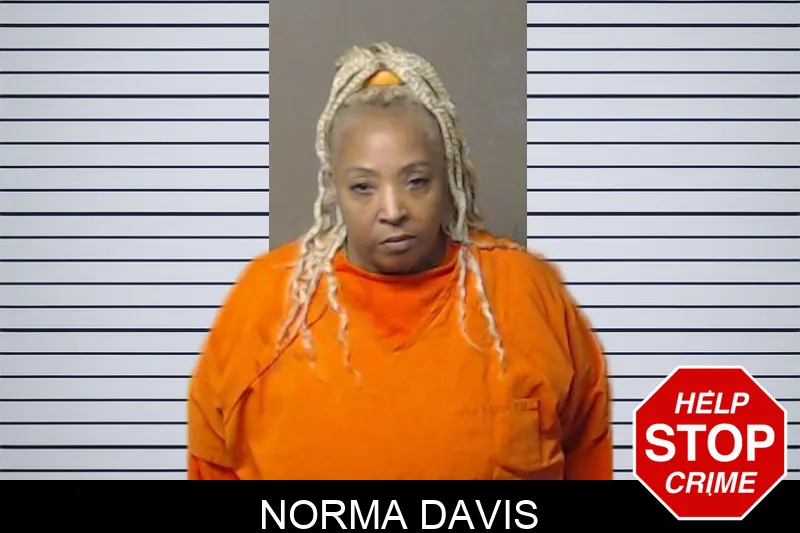 Norma Davis mugshot – DeKalb County , Georgia Norma Davis mugshot