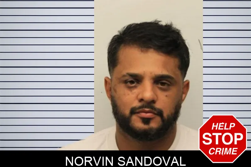 Norvin Sandoval mugshot