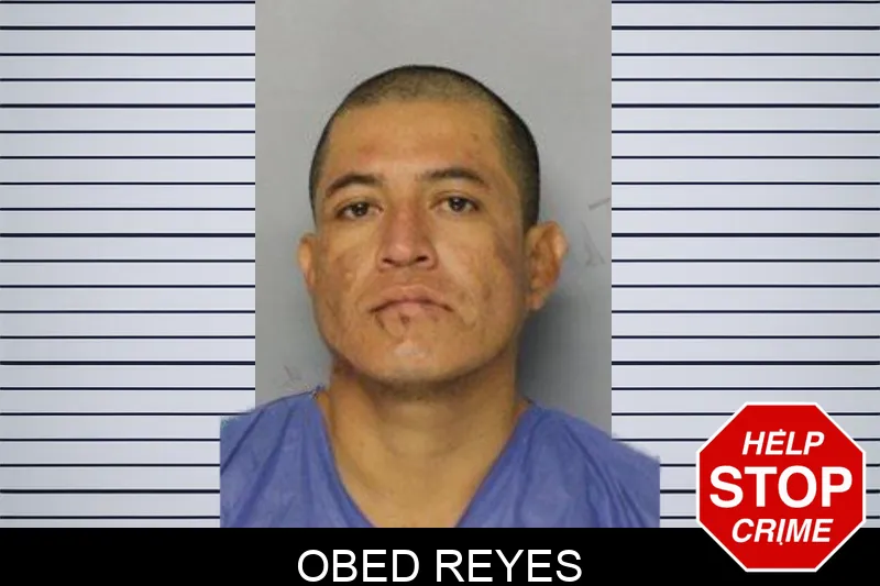 Obed Reyes mugshot