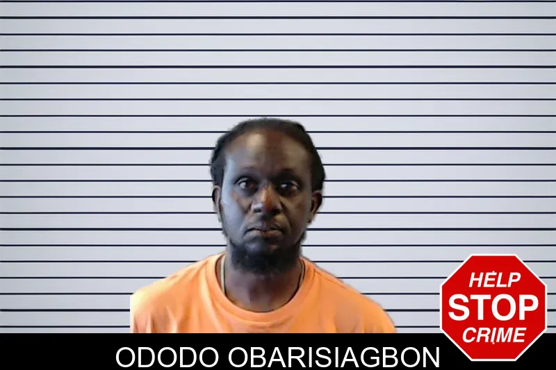 Ododo Obarisiagbon mugshot