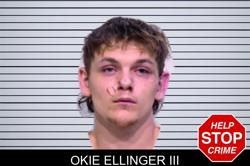 Okie Ellinger III mugshot