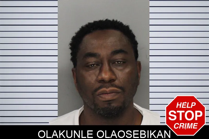 Olakunle Olaosebikan mugshot