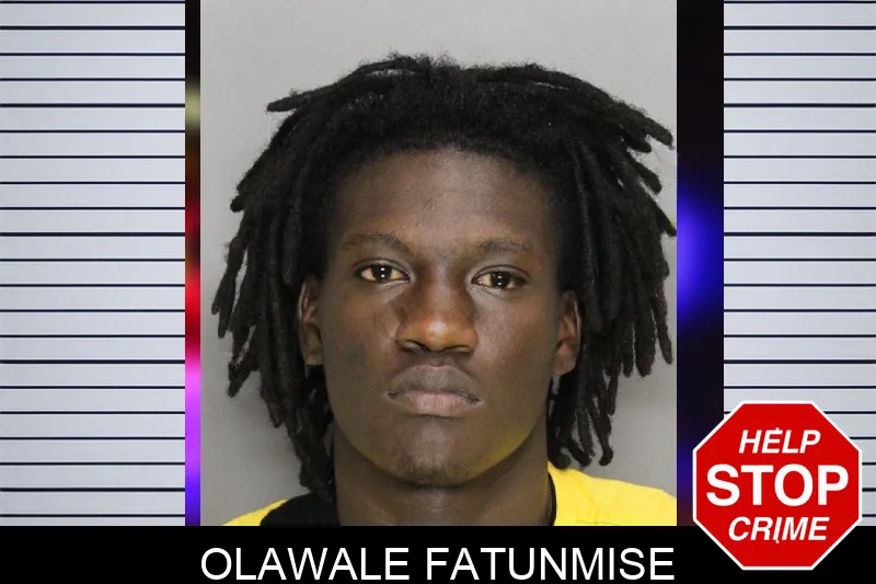 Olawale Fatunmise mugshot
