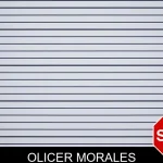 Olicer Morales mugshot