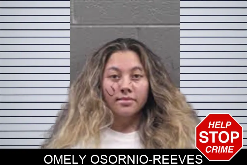 Omely Osornio-Reeves mugshot – Banks County , Georgia Omely Osornio-Reeves mugshot