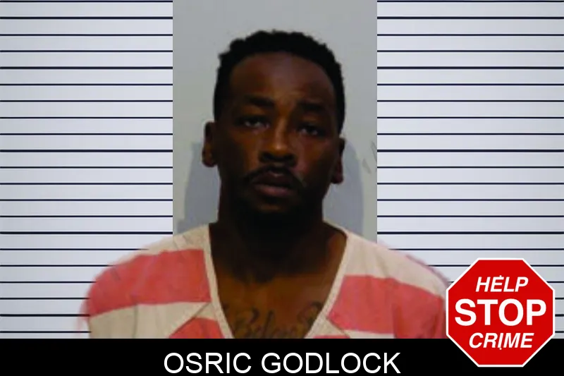 Osric Godlock mugshot – Bartow County , Georgia Osric Godlock mugshot