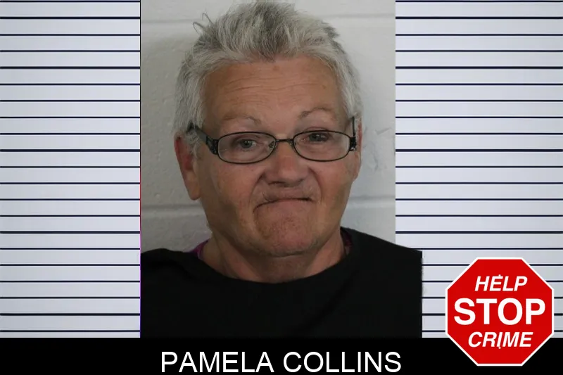 Pamela Collins mugshot