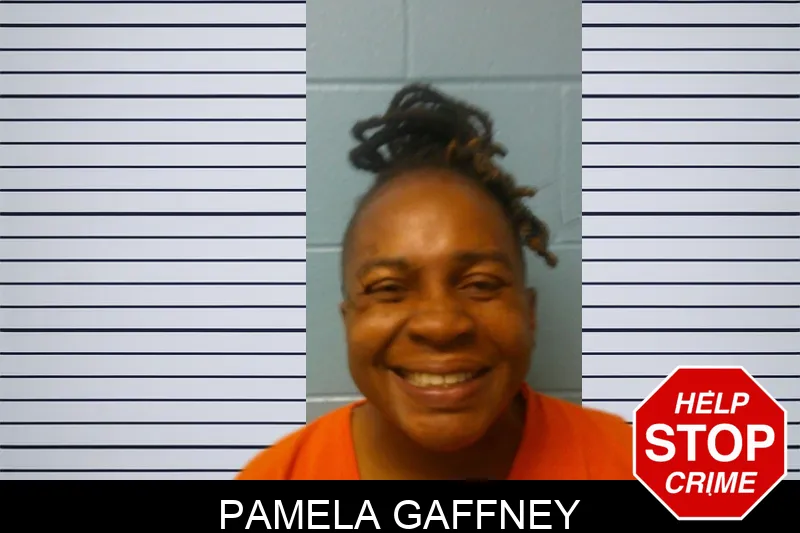 Pamela Gaffney mugshot