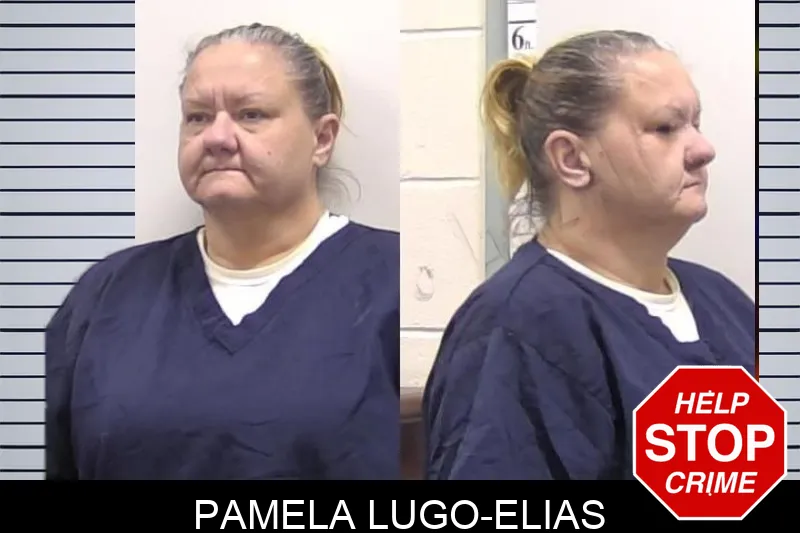 Pamela Lugo-Elias mugshot