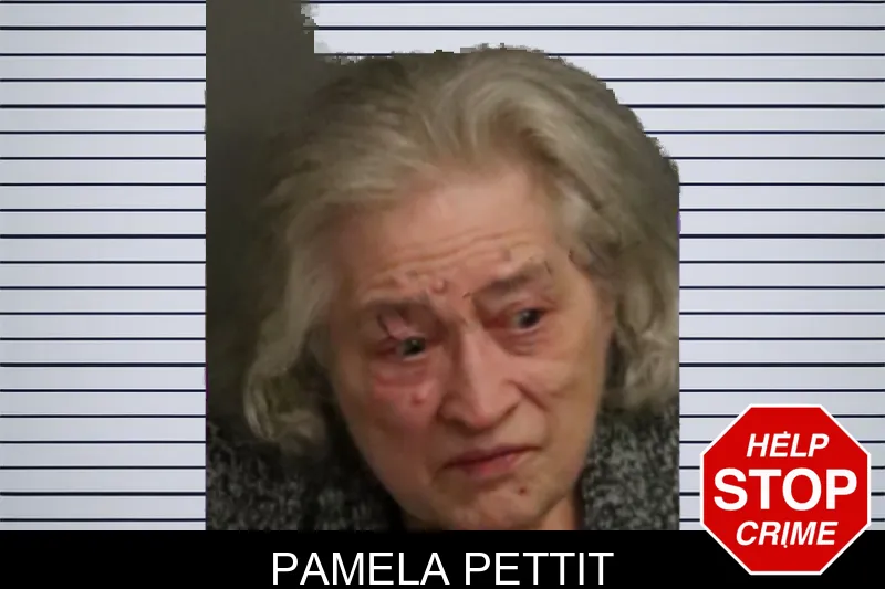 Pamela Pettit mugshot