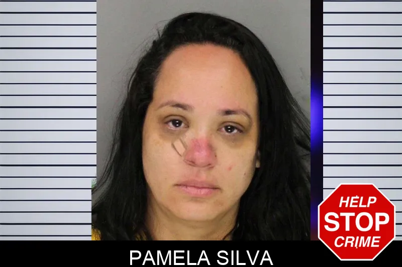 Pamela Silva mugshot