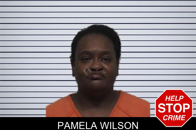 Pamela Wilson mugshot