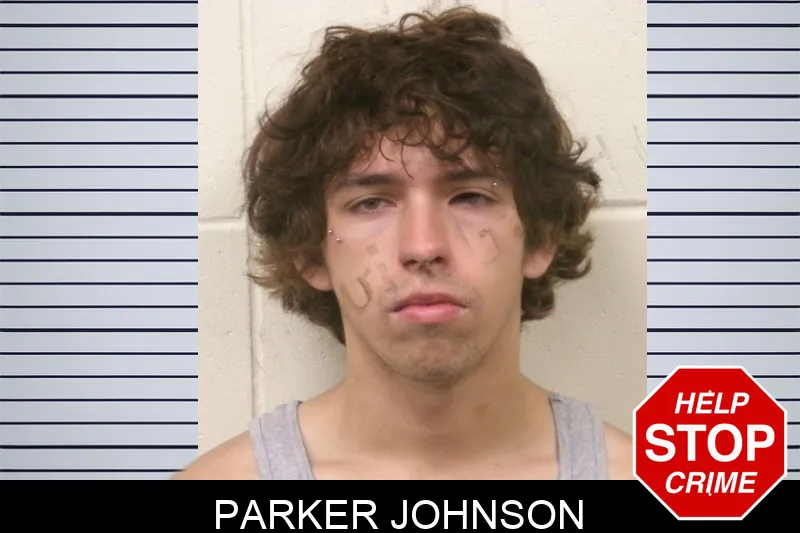Parker Johnson mugshot – Bulloch County , Georgia Parker Johnson mugshot