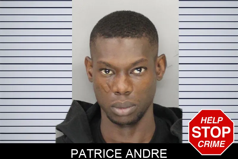 Patrice Andre mugshot